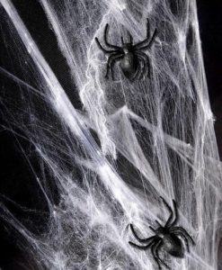 halloween spinnen