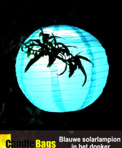 Onze blauwe solarlampion op zonne energie