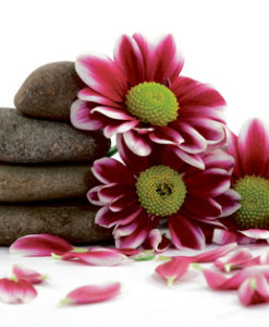 Alternative view of Candlecover SPA