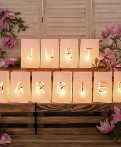 Alternative view of just married Candlebags Complete set