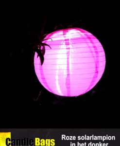 Onze roze solarlampion op zonne energie