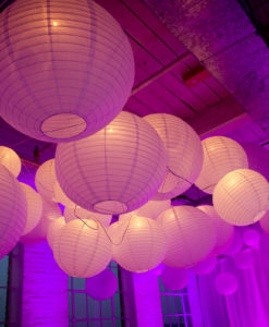 Hip en Trendy lampionnen