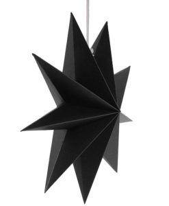 Zwarte ster kerst zijaanzicht