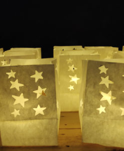 candlebags sterren midi 10 stuks verlicht