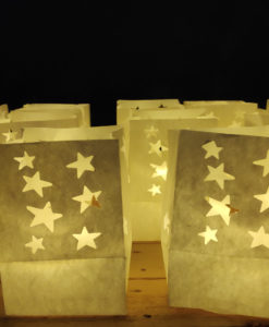 candlebags sterren midi 10 stuks verlicht2