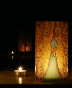 Candlecover met pauw