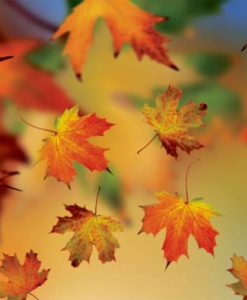 candlecover Autumn Leaves