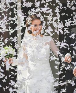 confetti shooter kanon vlinders