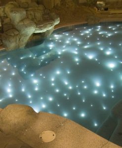 fairy berries in een zwembad