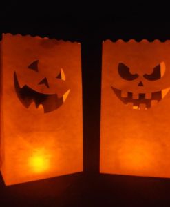 Halloween candlebag verlicht met led kaarsje