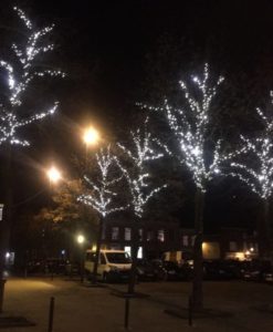 kerstverlichting-10-meter-koud-wit-3