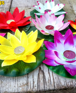 lotusbloemen waterlelie