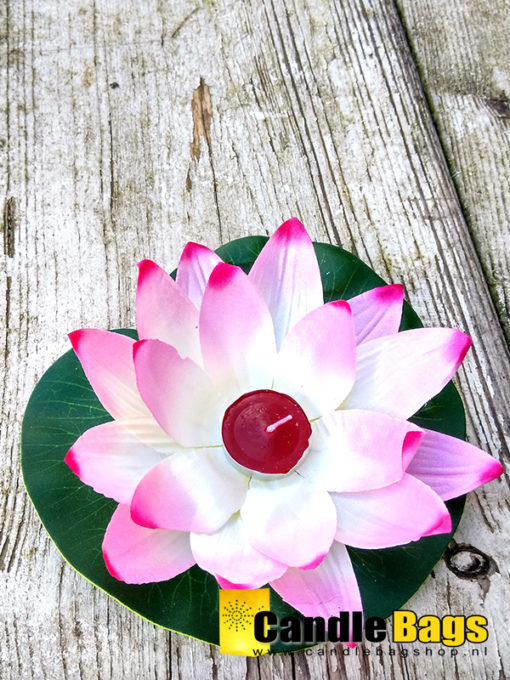 lotusbloem-zacht-roze-wit-polyester