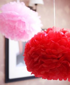 Alternative view of Pompon rood 20 cm