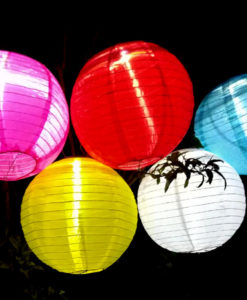 onze solarlampionnen in het donker