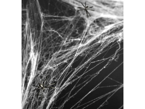 Spinnenweb met 2 spinnen Halloween decoratie