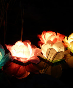 Alternative view of Waterlelie waterlantaarn blauw