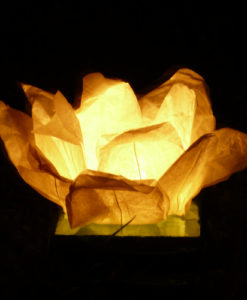 Alternative view of Waterlelie waterlantaarn geel