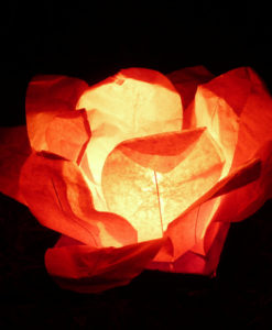 Alternative view of Waterlelie waterlantaarn rood